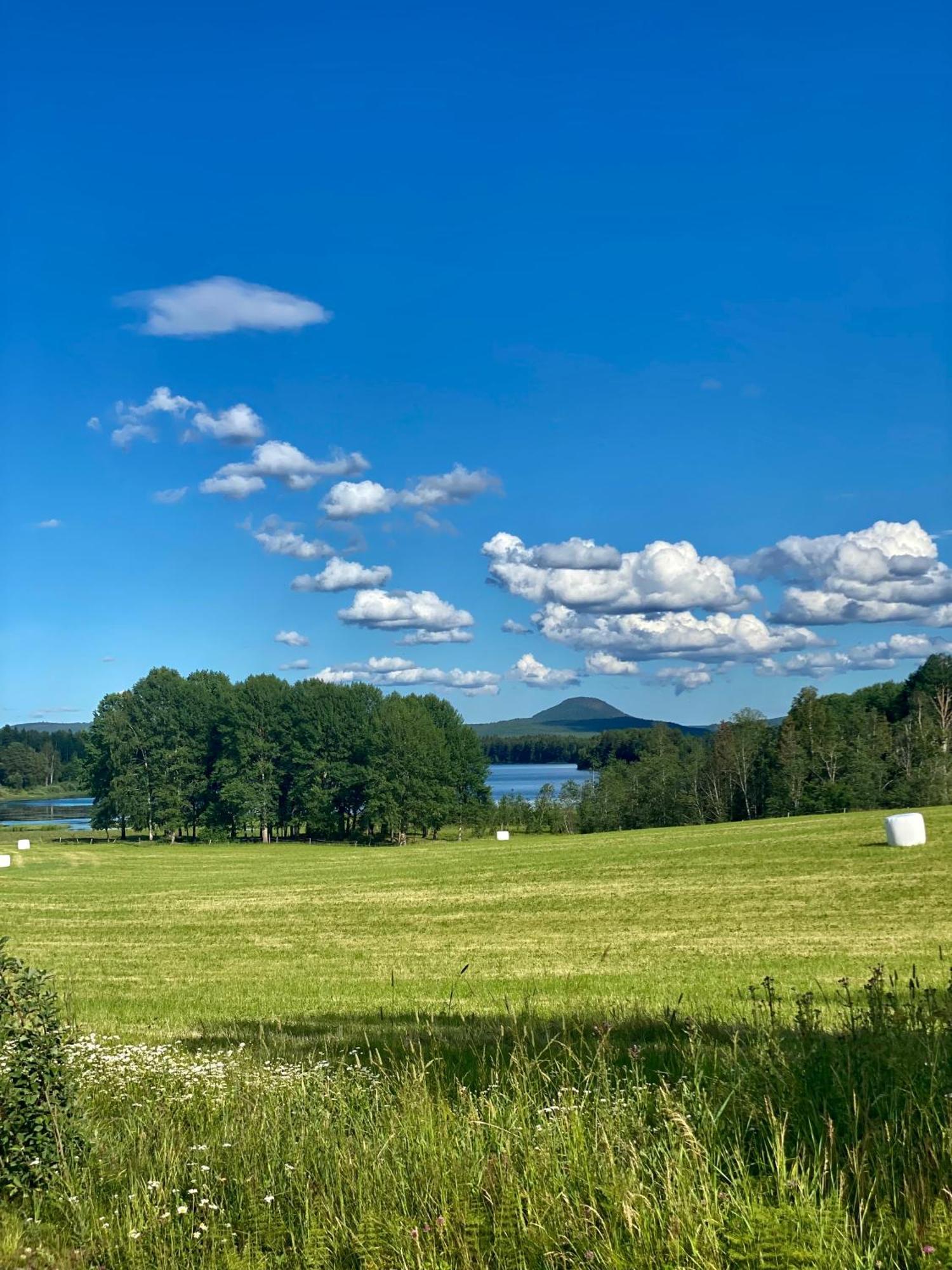 Vila Toemsagarden Järvsö Exteriér fotografie